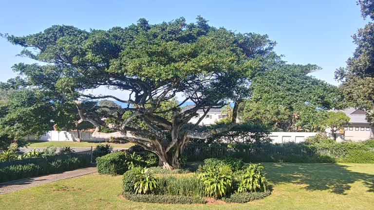 Solution Info HDR : EV(0,5,-4), FC : (0), FC : (0,5,-4)