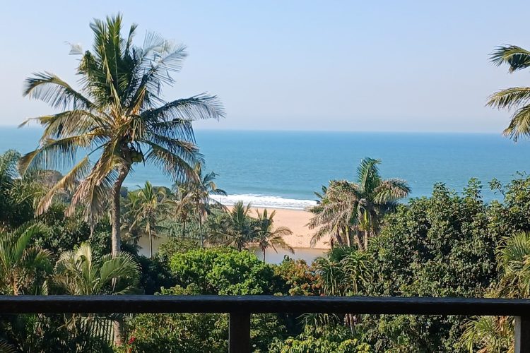Tanya’s Place, self-catering holiday home across the road from the beach in Zinkwazi Beach – photo 22