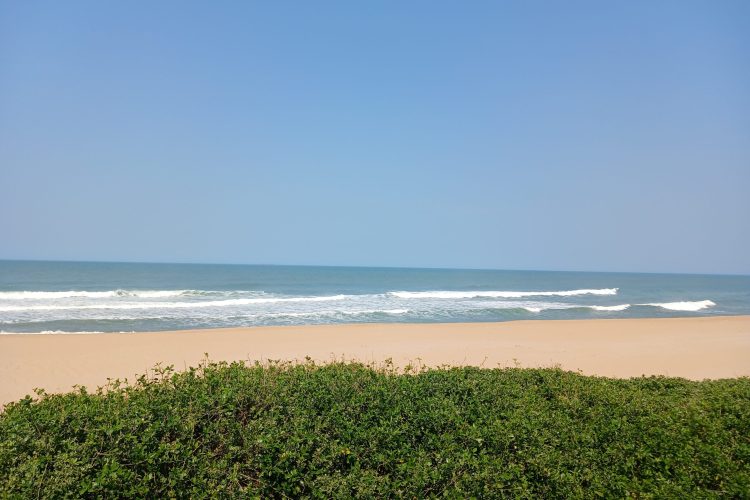 35 MAGAI DR (3)