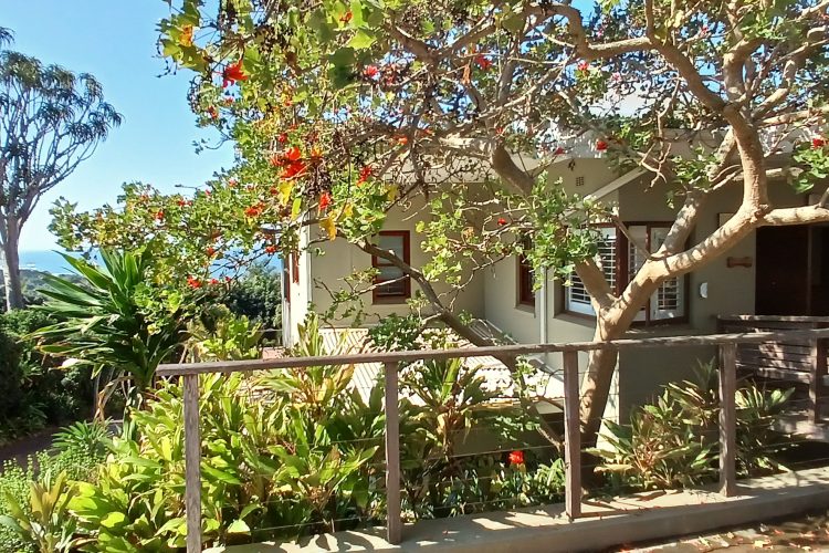Tanya’s Place, self-catering holiday home across the road from the beach in Zinkwazi Beach – photo 67